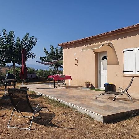 Studio Mitoyen A La Campagne Vue Sur La Mer Cargese Bagian luar foto
