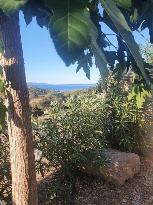 Studio Mitoyen A La Campagne Vue Sur La Mer Cargese Bagian luar foto